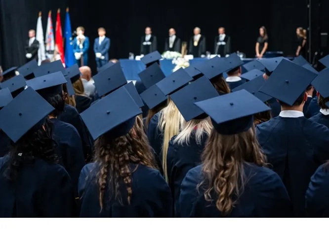 diploma.webp