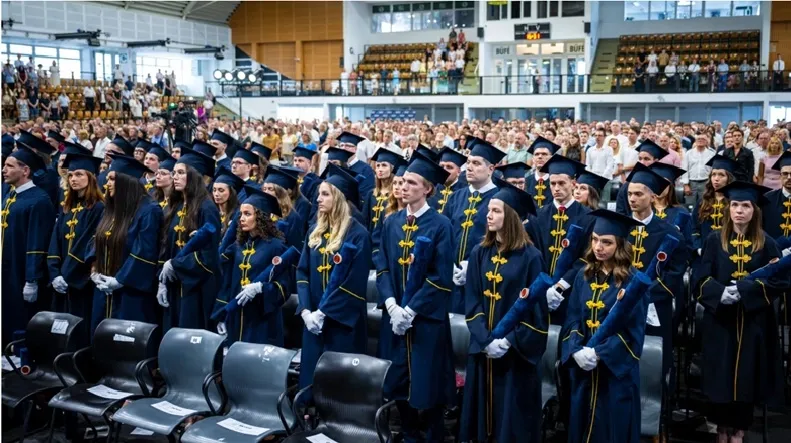 diploma378.webp
